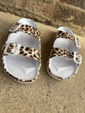 Cheetah Crush